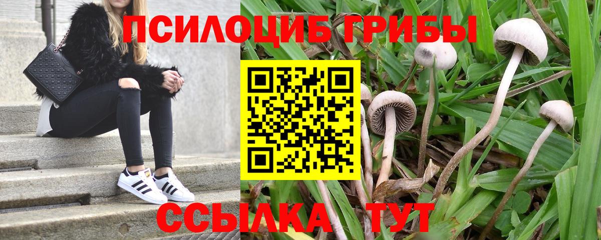 Псилоцибиновые грибы ЛСД Горячий Ключ