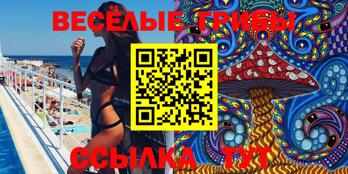 Псилоцибиновые грибы Cubensis  Вход с VPN  Горячий Ключ  Галлюциногенные грибы Psilocybe 