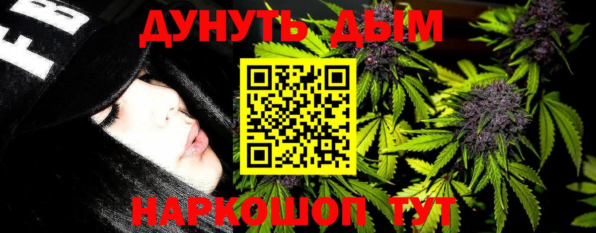 Бошки Шишки гибрид Горячий Ключ